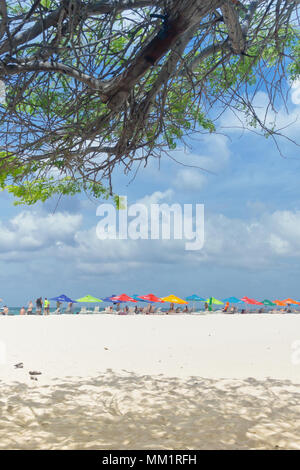 Eagle Beach, Aruba, Caribbean Sea in January 2018: tourists relaxing underneath colorful parasols or taking a bath in the sea. Stock Photo