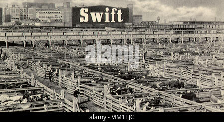 Swift & Company. Chicago. 1908 Stock Photo