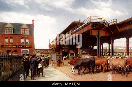 Union Stock Yards. Chicago. 1915 Stock Photo