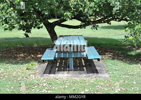 Wooden bench in public park in Australia. Large table and seats under tree in park Stock Photo