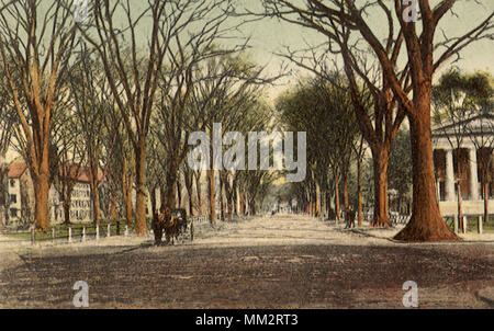 Temple Street and Old State House. New Haven. 1909 Stock Photo