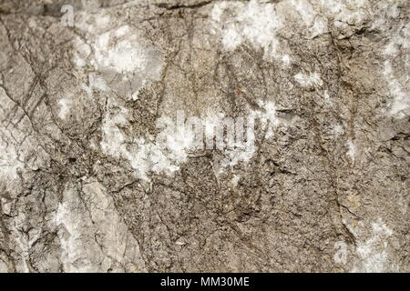 gray marble stone texture with white spots for photo studio background Stock Photo