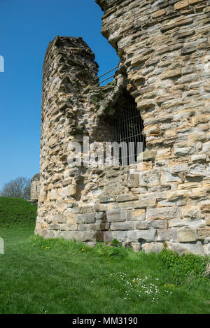 Ruins of Flint Castle beside the river Dee in Flintshire, North Wales. the circular 'Donjon' tower. Stock Photo