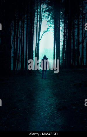 rear view of a man wearing a hooded jacket , walking in woods Stock Photo