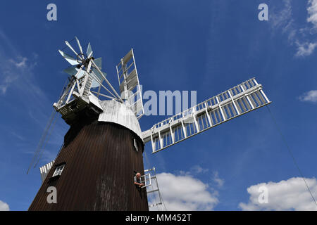 Miller Dave Pearce looks out from Wicken Village windmill in Cambridgeshire as a new sail is fitted to the 19th century smock. Stock Photo