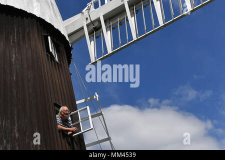Miller Dave Pearce looks out from Wicken Village windmill in Cambridgeshire as a new sail is fitted to the 19th century smock. Stock Photo
