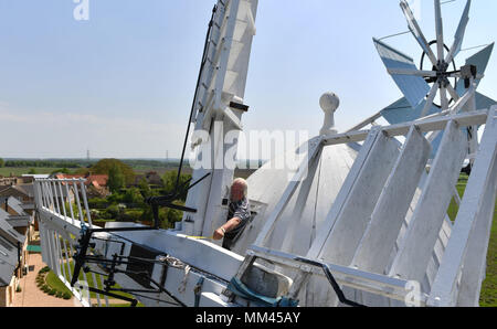 Miller Dave Pearce measures a supporting beam from the storm hatch of Wicken Village windmill in Cambridgeshire as a new sail is fitted to the 19th century smock. Stock Photo