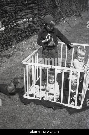 1950s, historical, a young boy standing in a child's cot outside about to show his infant and baby brothers his pet gerbil, while the family miniature dachshun or sausage dog stands on the grass outside the cot looking on with interest, England, UK. Stock Photo