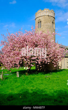 st mary's church, stody, north norfolk, england Stock Photo