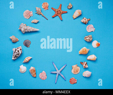 Different seashells on blue background  Stock Photo