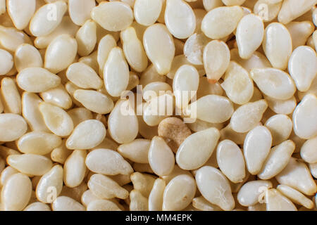 image background of small sesame seeds closeup Stock Photo