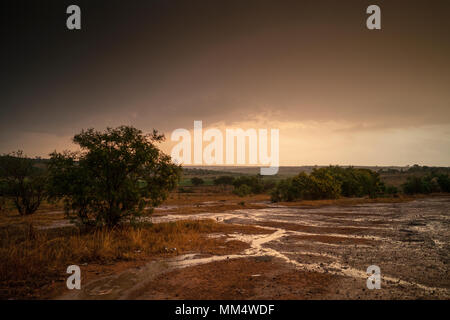 African sunset after rain, overlooking the savannah. Stock Photo