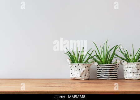 Three plants in fabric pot covers standing against white, empty wall Stock Photo