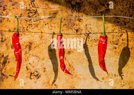 Dried red chili peppers Stock Photo