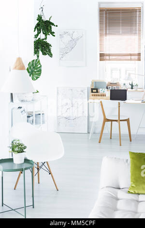 Plant on green table next to a white armchair in workspace interior with wooden chair at desk Stock Photo