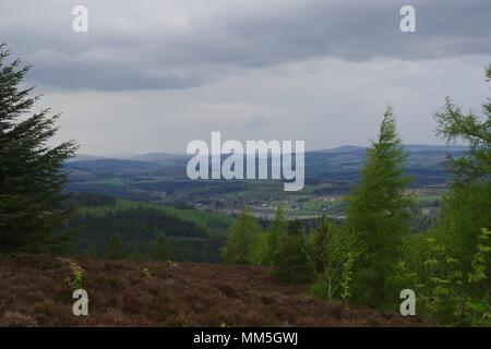 Conifer Plantation Tree Tops. Abstract Landscape of Various Shades of Green. Scotty Hill, Banchory, Scotland, UK. May, 2018. Stock Photo