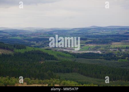 Conifer Plantation Tree Tops. Abstract Landscape of Various Shades of Green. Scotty Hill, Banchory, Scotland, UK. May, 2018. Stock Photo