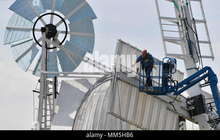 Dan Carrick paints the shutters on Wicken Village windmill in Cambridgeshire as a new sail is fitted to the 19th century smock. Stock Photo
