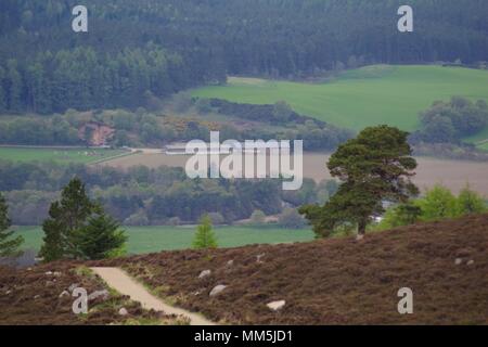 View over Scottish Moorland and Scots Pine from Scotty Tower over Banchory and Dee Valley Farmland. Aberdeenshire, Scotland, UK. May, 2018. Stock Photo