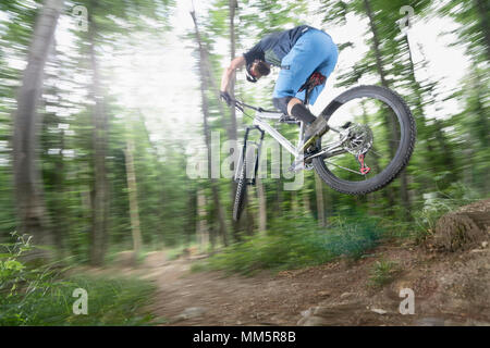 Mountain biker performing jump on bicycle on single track in forest, Bavaria, Germany Stock Photo