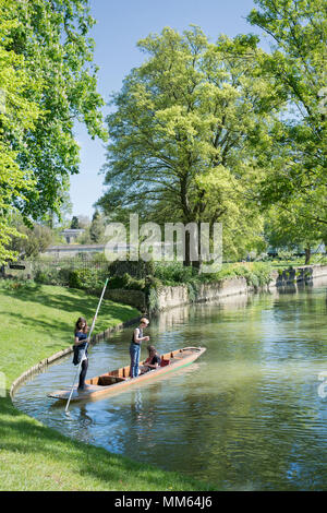 Young people punting on the river cherwell in the grounds of Christ church college. Oxford, Oxfordshire, UK Stock Photo