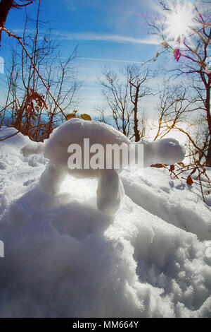 Funny Frosty tortoise in forest in rays of sun, against light. Winter fun, make snow. Figures of snow for children and youth. Christmas entertainment, Stock Photo