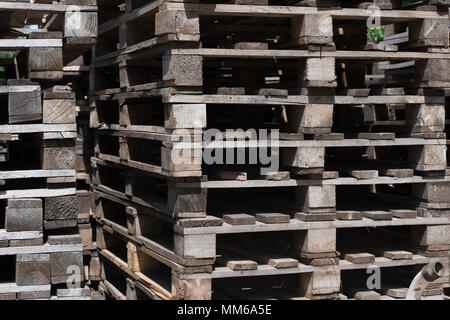 foot of pallets from a tree Stock Photo