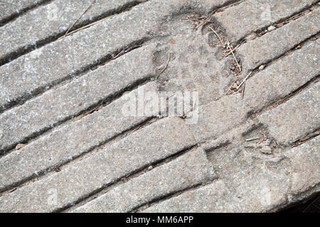 Human footprint in concrete ground, close up photo texture Stock Photo