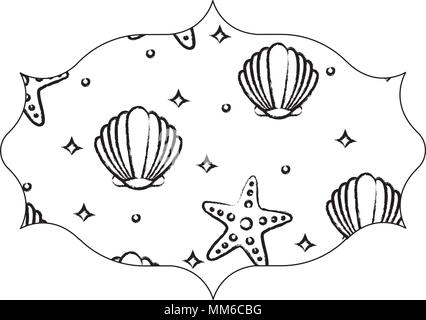 arabic frame with seashells and sea stars pattern over white background, vector illustration Stock Vector