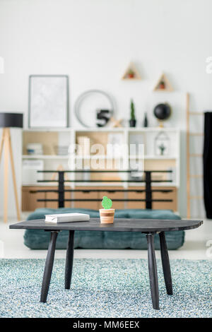 Book and cactus on black wooden table standing on patterned carpet in living room interior