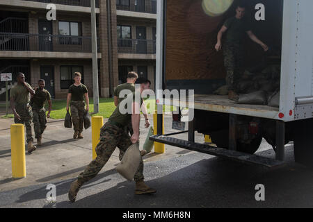 U.S. Marines with Marine Corps Air Station (MCAS),  remove the sandbags from in front of first deck barracks room doors into a loading truck aboard MCAS, Beaufort, S.C., Sept., 11.  Sandbags were placed to minimize damage in preparation of impacts caused by Hurricane Irma. (U.S. Marine Corps photo by Lance Cpl. Cameron D. Darrough/ Released) Stock Photo