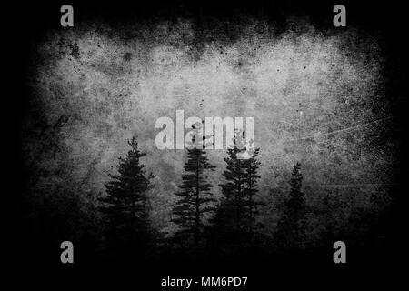 dark landscape with foggy forest at night and grungy textures. Black and white Stock Photo