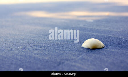 PULAU LANGKAWI, MALAYSIA - APR 7th 2015: Famous black sand beach with closeup of seashell. Stock Photo