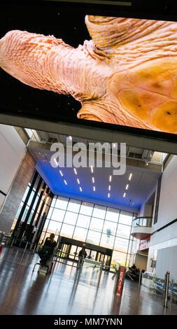 LED Ceiling Media, lobby level 1, looking towards lobby and entrance, Boston Museum of Science Yawkey Gallery on the Charles River Stock Photo