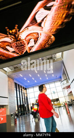 LED Ceiling Media, lobby level 1, looking towards lobby and entrance, Boston Museum of Science Yawkey Gallery on the Charles River Stock Photo