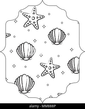 arabic frame with seashells and sea stars pattern over white background, vector illustration Stock Vector
