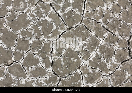 The salt shows through the earth. Dry cracked soil background. Cracked mud pattern. Stock Photo
