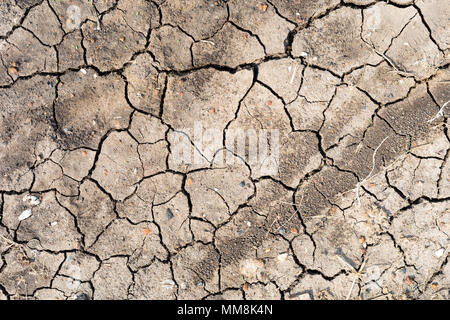 Crack soil on dry season , global warming effect Stock Photo