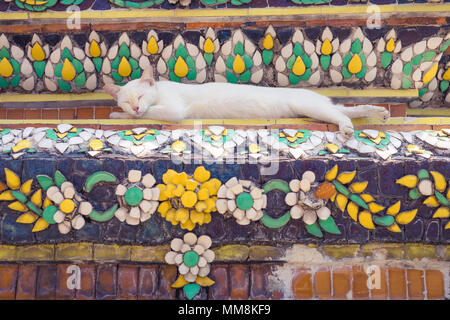 Cat sleeping on Pagoda in Buddhist temple in Thailand Stock Photo