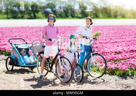 Happy Dutch family riding bicycle in tulip flower fields in Netherlands. Mother and kids on bikes at blooming tulips in Holland. Baby in bike trailer. Stock Photo