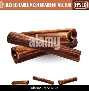 Cinnamon on white background. Vector illustration Stock Vector