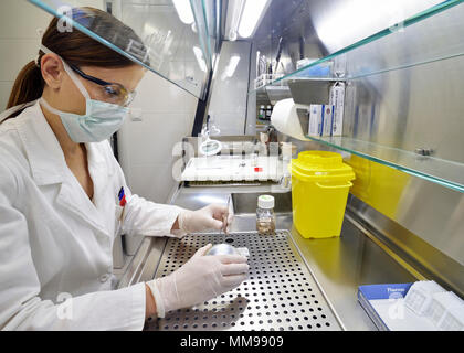 Pathologist Preparing a Sample Removed from a Patient for Microscopic Examination in a Hospital Laboratory Stock Photo