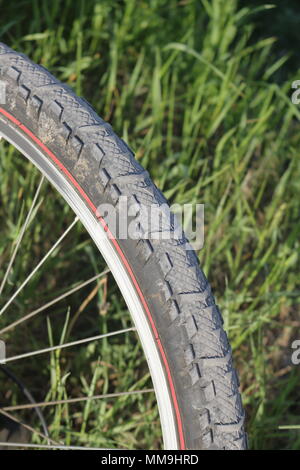 Tyre of a mountain bike with tall blades of grass in the background Stock Photo