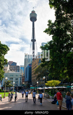 Sydney Tower viewed from western edge of Hyde Park Stock Photo