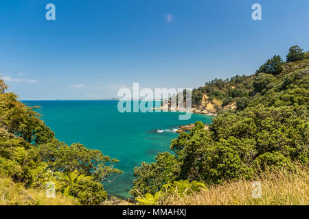 A look out view on one of the coastal trails in the Coromandel, New Zealand. Stock Photo