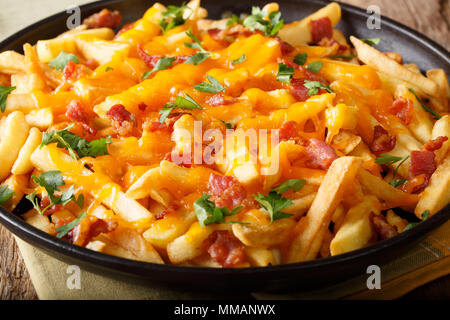 French fries baked with cheddar cheese, bacon and parsley closeup on a plate. horizontal Stock Photo