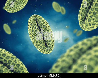 Pollen allergy, also known as hay fever or allergic rhinitis, Seasonal allergy Stock Photo