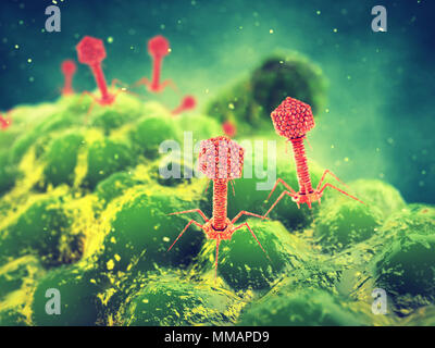 Bacteriophage viruses attacking bacteria, Infectious disease Stock Photo