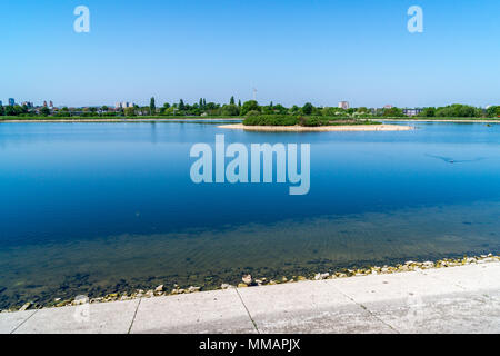 An Egyptian goose on the shore line of Warwick Reservoir East, Walthamstow Wetlands project, London, England Stock Photo