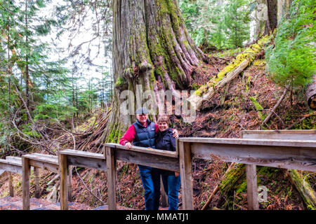 A man and woman stand on the boardwalk of the ancient forest near Prince George British Columbia Stock Photo